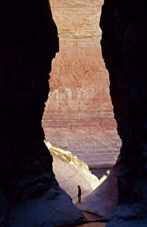 Mountain Range Drucke: Silver Gorge