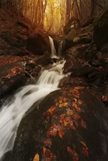 European Wilderness Areas Drucke: Small water stream in fall running through the Appennines in Emilia Romagna, Italy