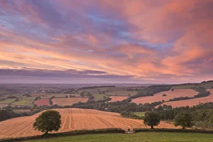 Autumn In England Drucke: Spectacular sunset above rolling Devon countryside, Stockleigh Pomeroy, Devon, England