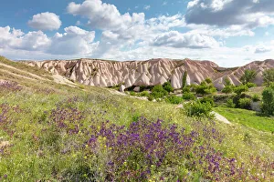 UNESCO World Heritage Site Cappadocia Drucke: Spring flowers and rock formations