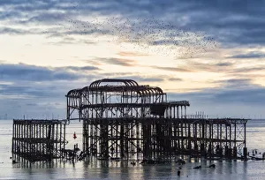 East Sussex Drucke: Strelitz-Murmurations über den Brighton-Westpier in Ost-Sussex, England