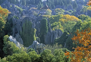 Yunnan Province Tourism Drucke: Stone Forest