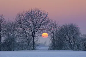 Upper Bavaria Forest Scenery Drucke: Sunset impression in winter - Germany, Bavaria, Upper Bavaria, Munchen, Ismaning