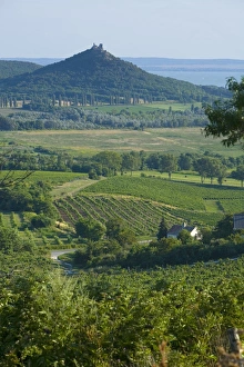 Drucke von Die Szigligeter Halbinsel, See Balaton, Ungarn Balaton (Plattensee) Drucke: Szigligeti Halbinsel