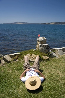 Tasmania Scenic Views Drucke: Taking a siesta in the sun