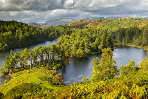 Tarn Hows im Lake-Distrikt von Cumbria, England