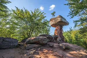 Der Teufelstisch im Devils Table in der Region des Hinterweidenthals und des Wasgaus im Pfälzerwald