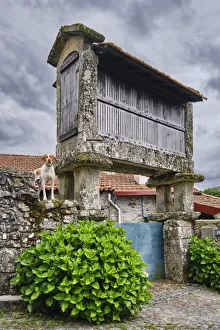 Ein traditioneller Speicherhaus (Espigueiro) in Bucos. Cabeceiras de Basto, Minho. Portugal