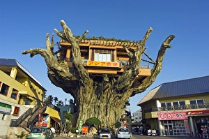 Bilder Datiert 2006 März: Bäumenzweigrestaurant auf einem riesigen Baum
