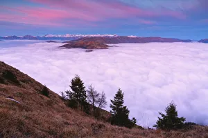 Italian Countryside Sunset Drucke: Trees at Sunset from Mount Guglielmo above the Clouds, Brescia province, Lombardy