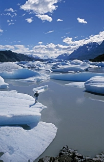 Lago Grey Chile Drucke: Trekker on iceberg
