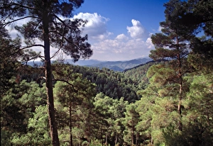 Troodos Mountains Cyprus Drucke: Troodos Mountains