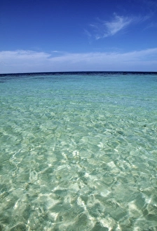 Maldives Island Getaway Drucke: Tropical beach