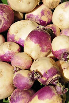 Bilder Datiert 2011 August: Turnips