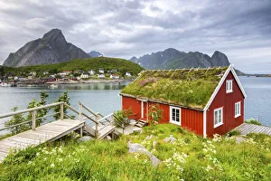 Northern Europe Landscapes Drucke: Typical Rorbu surrounded by grass, Nordland county, Lofoten Islands, Northern Norway