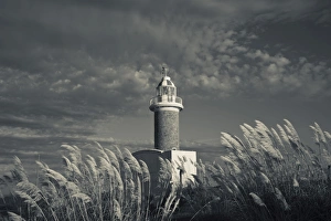 South America Coastal Scenery Drucke: Uruguay, Montevideo