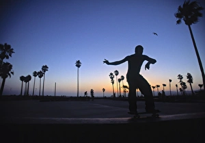 Los Angeles Beaches Drucke: Venice Beach
