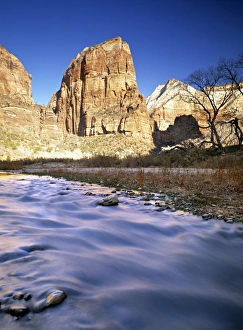 Zion National Park Photography Drucke: Virgin River