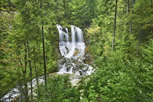 Bavaria Waterfalls Drucke: Waterfall in deciduous forest - Germany, Bavaria, Upper Bavaria, Traunstein, Inzell