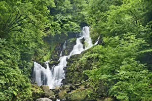 Wasserfälle im Wald – Irland, Kerry, Killarney, Wasserfällen von Torc im Killarney Nationalpark