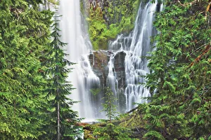 United States Natural Landmarks Drucke: Waterfall Lower Proxy Falls - USA, Oregon, Lane, Lower Proxy Falls - Cascade Range