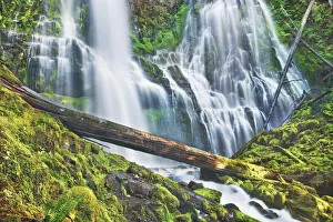 USA Waterfall Photography Drucke: Waterfall Lower Proxy Falls - USA, Oregon, Lane, Lower Proxy Falls - Cascade Range