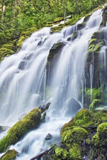 American Nature Landscapes Drucke: Waterfall Upper Proxy Falls - USA, Oregon, Lane, Upper Proxy Falls - Cascade Range