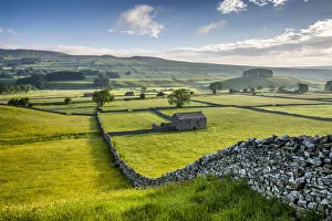 Nord-Yorkshire Drucke: Wensleydale im nationalen Naturpark Yorkshire Dales in Nord-Yorkshire