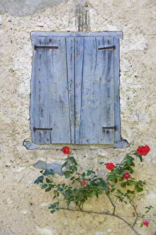 Fensterläden & Rosen, Roquefixade, Ariège, Midi-Pyrénées, Frankreich