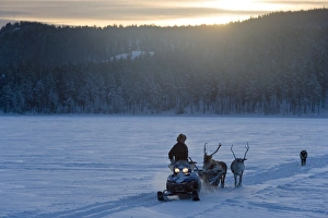 Winter Wonderland Landscapes Drucke: Winter landscape