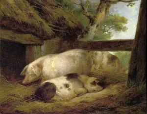 Oil On Wood Artwork Drucke: Study of Pigs