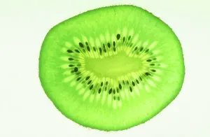 Kiwi Fruit Slice Drucke: A slice of Kiwi fruit