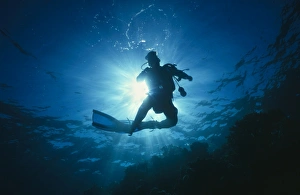 Lawson Wood Art Drucke: Diver sillouette