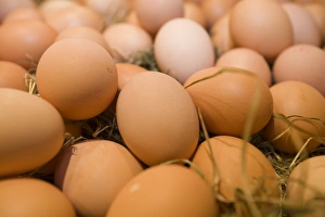Specialty Food Photography Drucke: Free range eggs