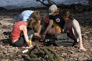 Schüler auf der Abschlussbefeisung mit einer Sandhopper-Umfrage in Castelbay (Dale), Pembrokeshire (Wales), Vereinigtes Königreich. Europa