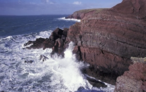 Pembrokeshire Landscape Photography Drucke: Old Red Sandstone seacliffs, St