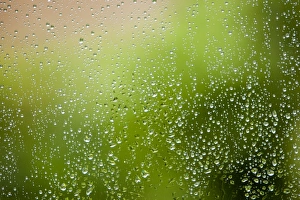 Water Droplets On Glass Drucke: Rainfall on a house window, UK