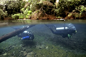 Taucher unter Wasser am Fluss Prata in Bonito im Bundesstaat Mato Grosso do Sul in Brasilien