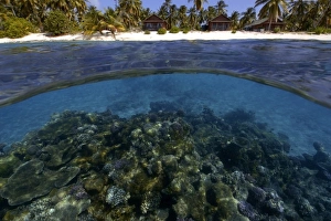 Tropical Ocean Landscape Drucke: Split image of pristine coral reef and island, Rongelap, Marshall Islands, Micronesia