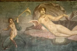 Haus der Venus im Schalentier