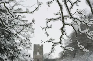 Ripon Drucke: Schnee hängt an Bäumen vor der Abtei von Fountains bei Ripon