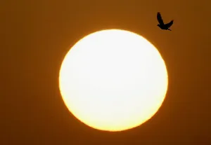 Die Sonne steigt in Kairo