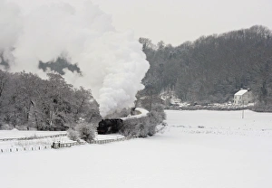 Vintage Train Photos Drucke: RTXVDRH