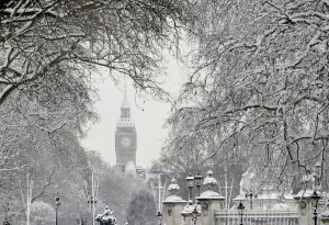 Wetter Drucke: Schnee bedeckt Zweige der Bäume vor dem Parlamentsgebäude