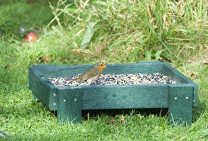 Bird Feeder Drucke: 002983