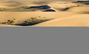 Desert Scenery Photography Drucke: 005569