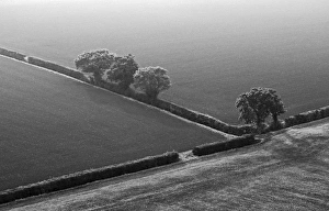 Geometric Patterns In Nature Drucke: 005731