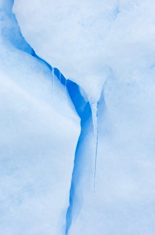 Iceberg Photography Drucke: 01952dt