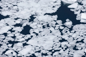Polar Region Images Drucke: 01986dt