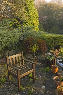 David Tipling Photography Drucke: 02012dt